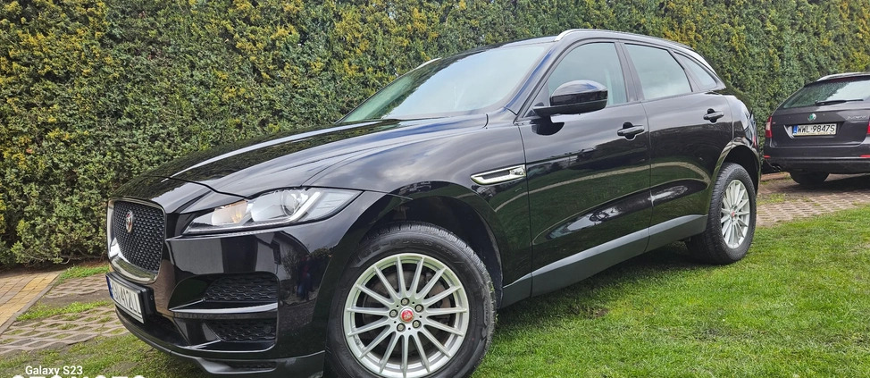 Jaguar F-Pace cena 102900 przebieg: 125150, rok produkcji 2018 z Trzemeszno małe 704